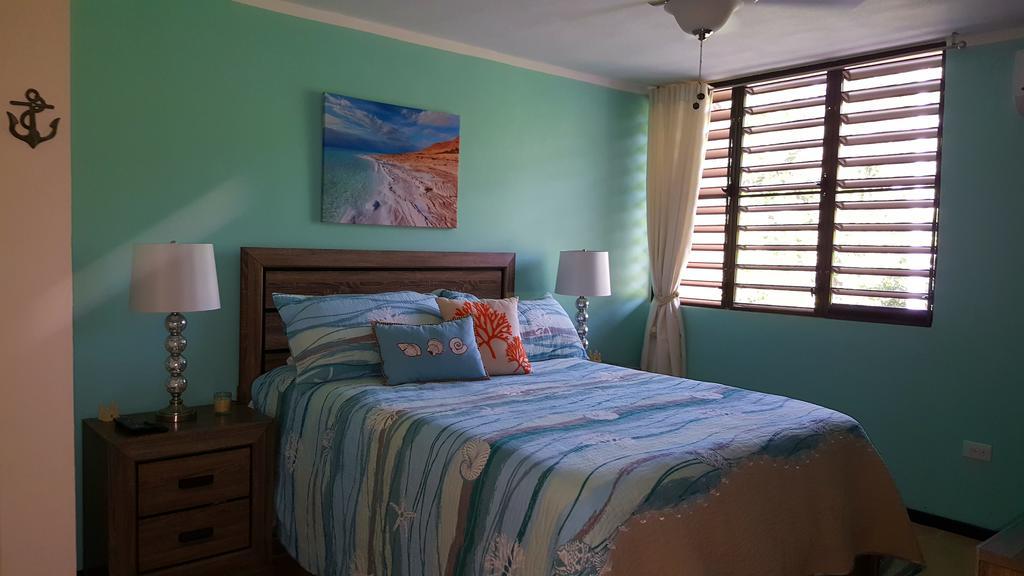 Fully Air-Conditioned Beach Front Penthouse Apartment Naguabo エクステリア 写真
