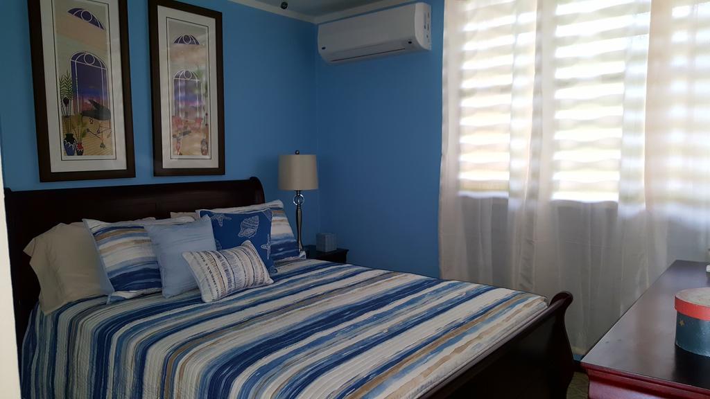 Fully Air-Conditioned Beach Front Penthouse Apartment Naguabo エクステリア 写真