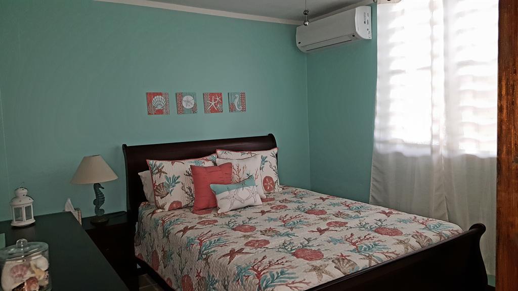 Fully Air-Conditioned Beach Front Penthouse Apartment Naguabo エクステリア 写真